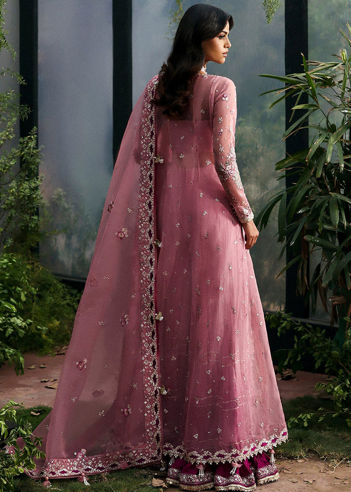 Buy Now La Fuchsia Luxury Formals '25 by Afrozeh | Seraira Online in US, UK, Canada, Germany, Italy, Austria, France, Singapore, UAE & Worldwide at Empress.