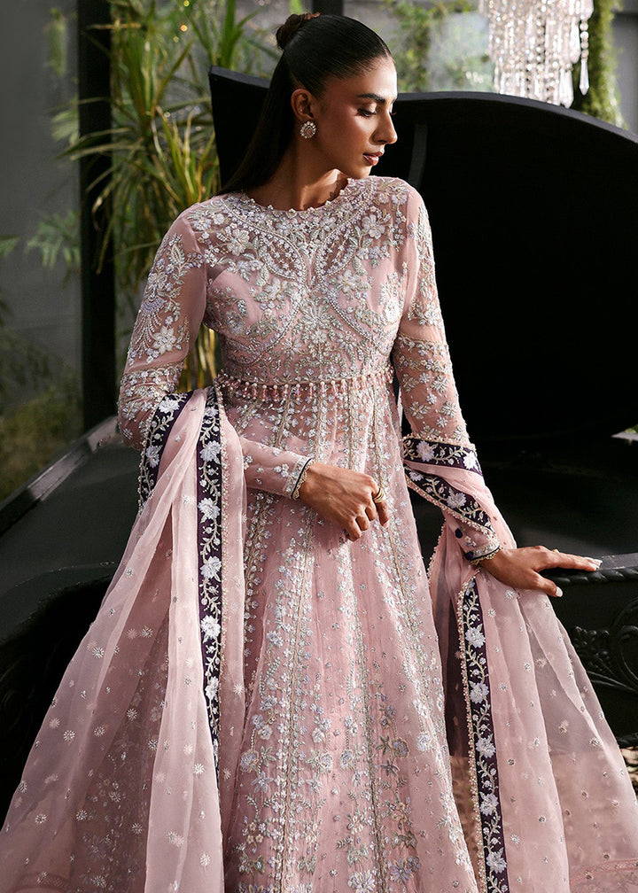 Buy Now La Fuchsia Luxury Formals '25 by Afrozeh | Zeal Online in US, UK, Canada, Germany, Italy, Austria, France, Singapore, UAE & Worldwide at Empress.