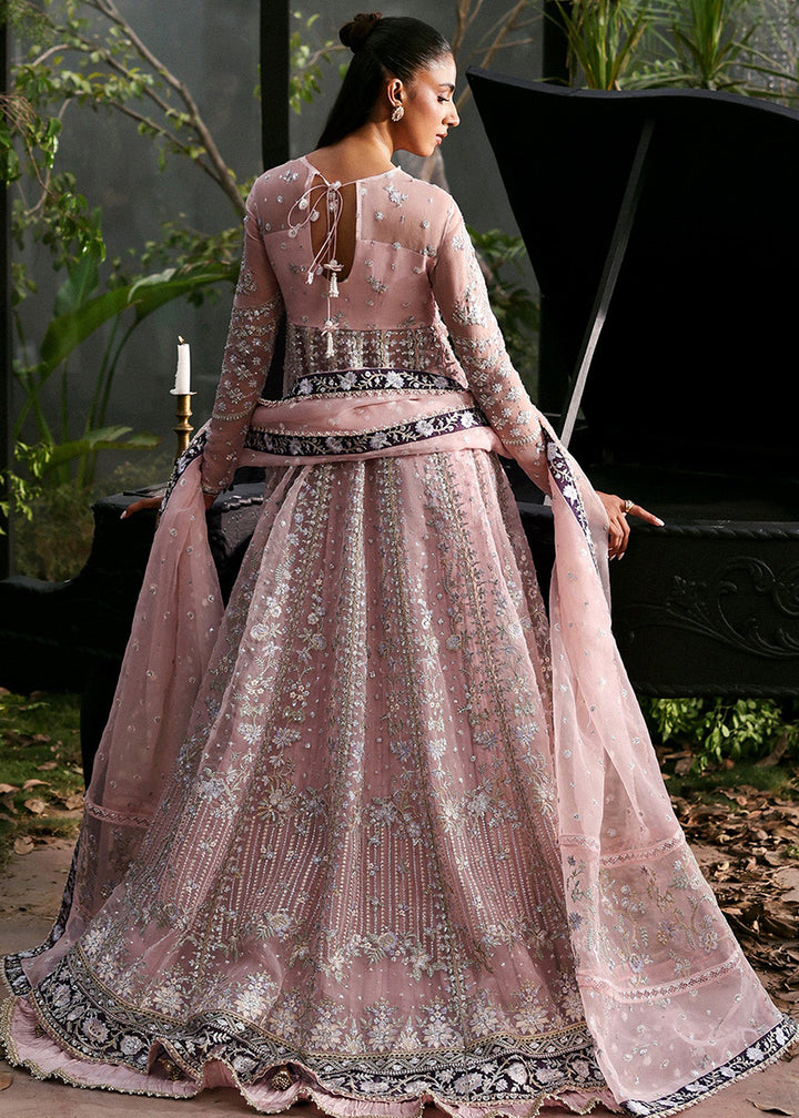 Buy Now La Fuchsia Luxury Formals '25 by Afrozeh | Zeal Online in US, UK, Canada, Germany, Italy, Austria, France, Singapore, UAE & Worldwide at Empress.