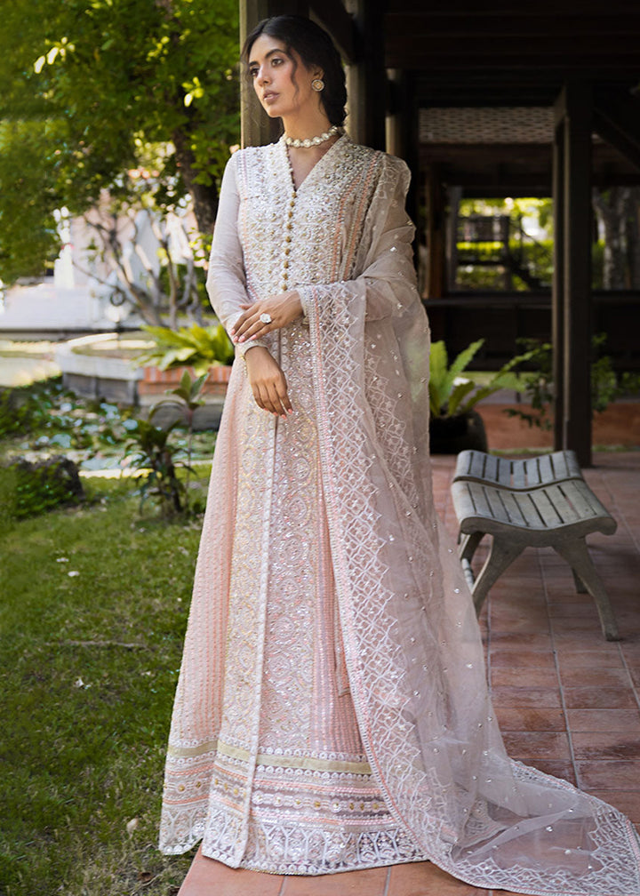 Buy Now Roohi Luxury Formal Collection '24 by Mushq | ANIKA Online at Empress Online in USA, UK, Canada & Worldwide at Empress Clothing.