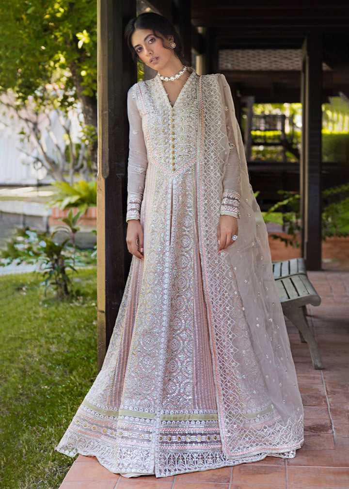 Buy Now Roohi Luxury Formal Collection '24 by Mushq | ANIKA Online at Empress Online in USA, UK, Canada & Worldwide at Empress Clothing.