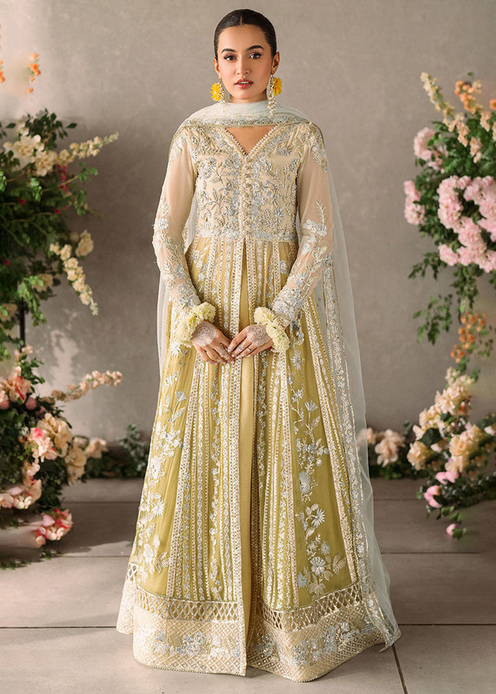 Buy Now Mastani Evening Luxury Chiffon '24 by Mushq | Hira Online at Empress Online in USA, Italy, Canada & Worldwide at Empress Clothing.