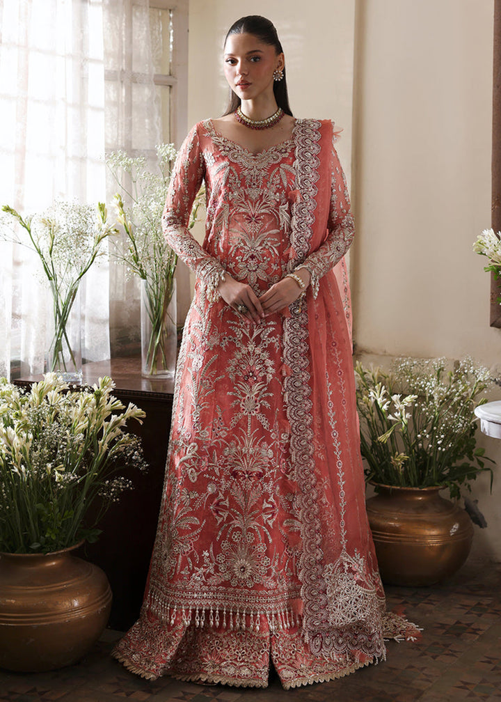Buy Now Dastangoi Wedding Formals '25 by Afrozeh | Serenight Online in USA, UK, Canada, Greece, Germany, Ireland, Italy, UAE, Qatar & Worldwide at Empress.