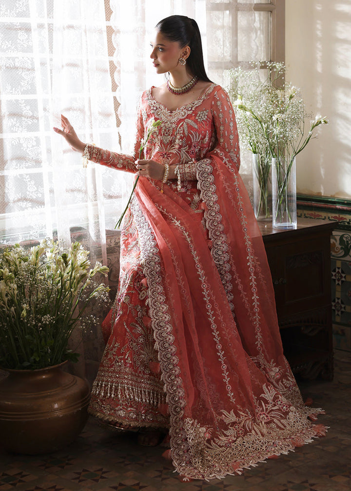 Buy Now Dastangoi Wedding Formals '25 by Afrozeh | Serenight Online in USA, UK, Canada, Greece, Germany, Ireland, Italy, UAE, Qatar & Worldwide at Empress.