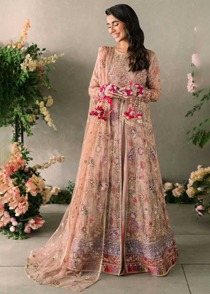 Buy Now Mastani Evening Luxury Chiffon '24 by Mushq | Sona Online at Empress Online in USA, Italy, Canada & Worldwide at Empress Clothing.