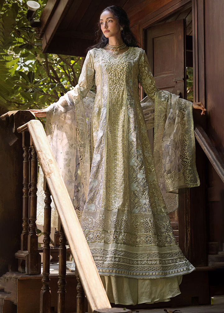 Buy Now Roohi Luxury Formal Collection '24 by Mushq | RIYA Online at Empress Online in USA, UK, Canada & Worldwide at Empress Clothing.