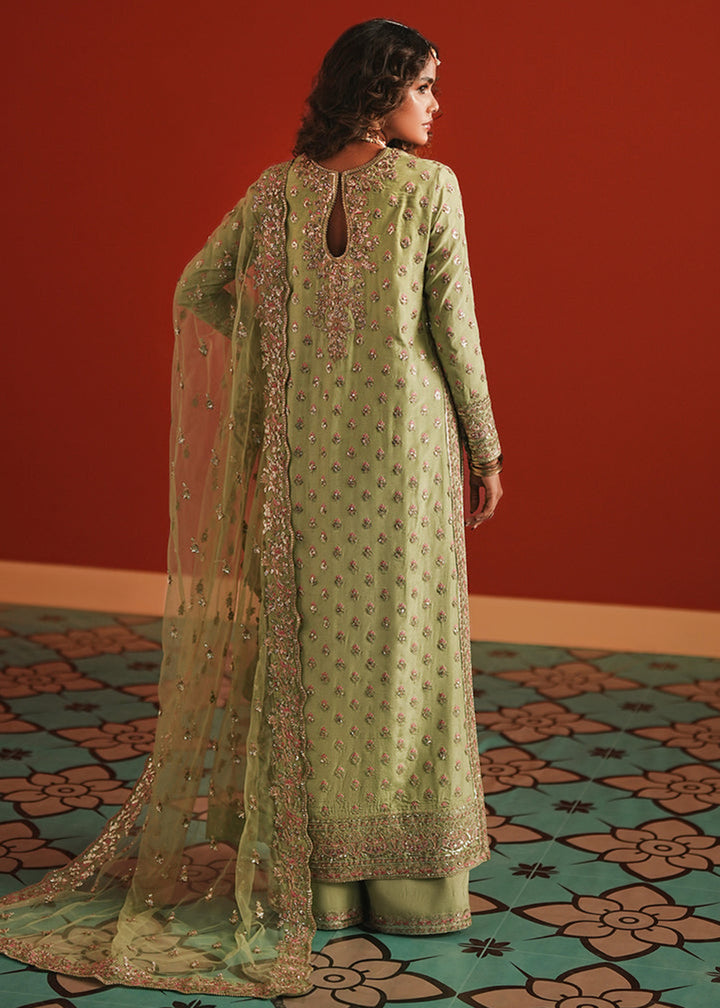 Buy Now Divani The Silk Wedding Edit '25 by Afrozeh | Shahwar Online in USA, UK, Canada, France, Italy, Germany, Greece, Sweden, UAE & Worldwide at Empress.