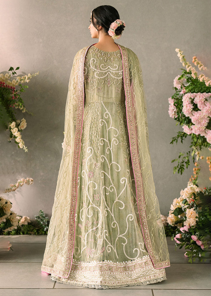 Buy Now Mastani Evening Luxury Chiffon '24 by Mushq | Namar Online at Empress Online in USA, UK, France, UAE, Canada & Worldwide at Empress Clothing.