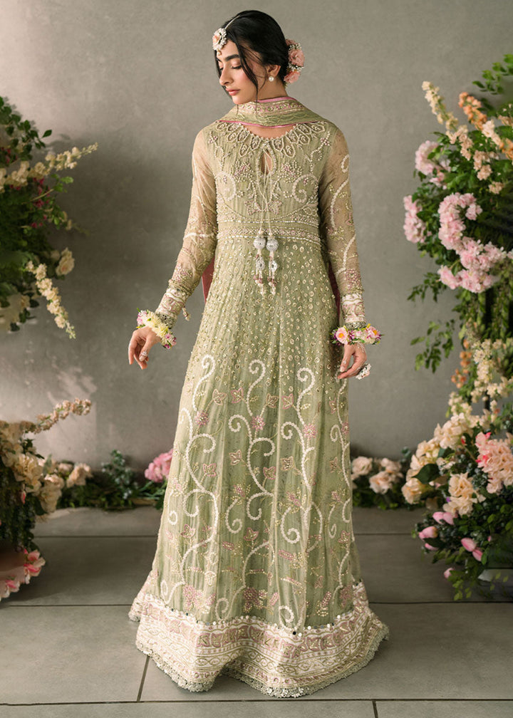 Buy Now Mastani Evening Luxury Chiffon '24 by Mushq | Namar Online at Empress Online in USA, UK, France, UAE, Canada & Worldwide at Empress Clothing.