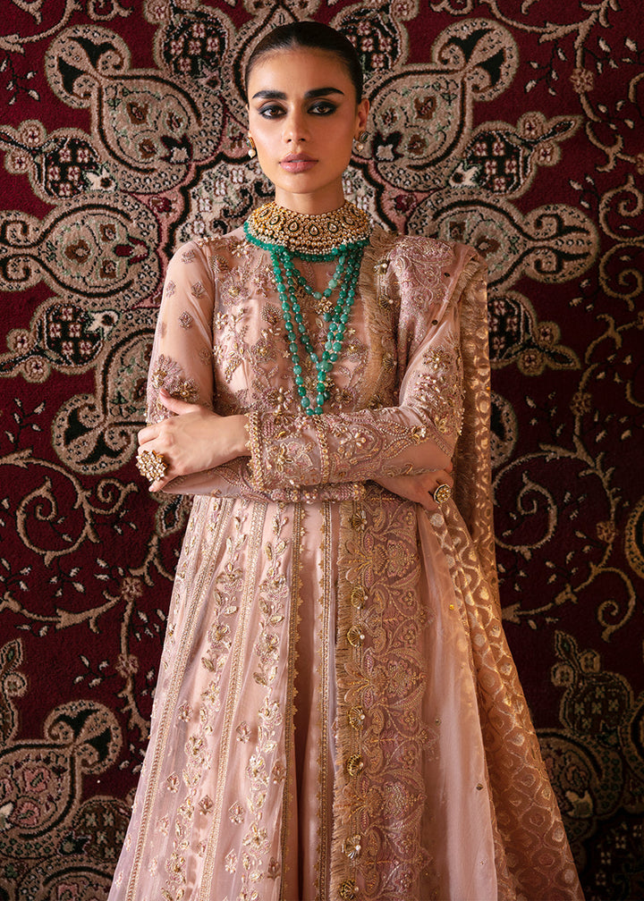 Buy Now Hayat Wedding Formals 23 by Afrozeh | Rubab Online in USA, UK, Canada & Worldwide at Empress Clothing.