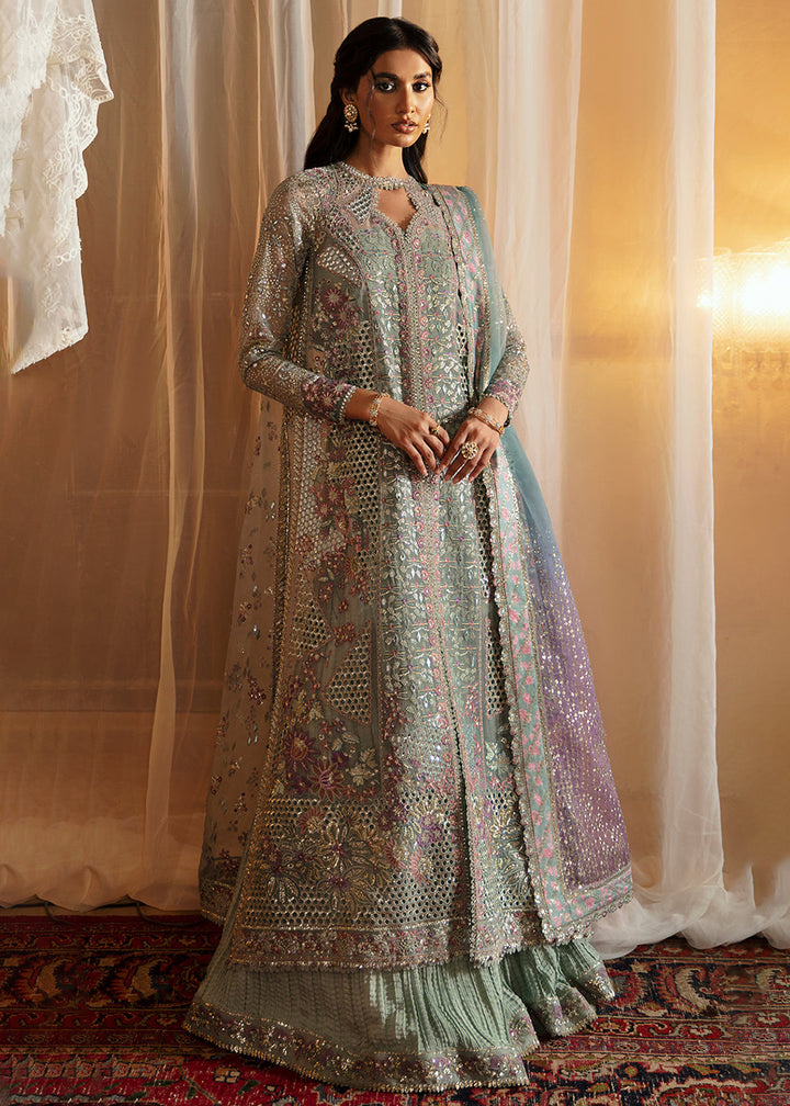 Buy Now Hayat Wedding Formals '24 by Afrozeh | Tara Online at Empress Online in USA, UK, Canada & Worldwide at Empress Clothing. 