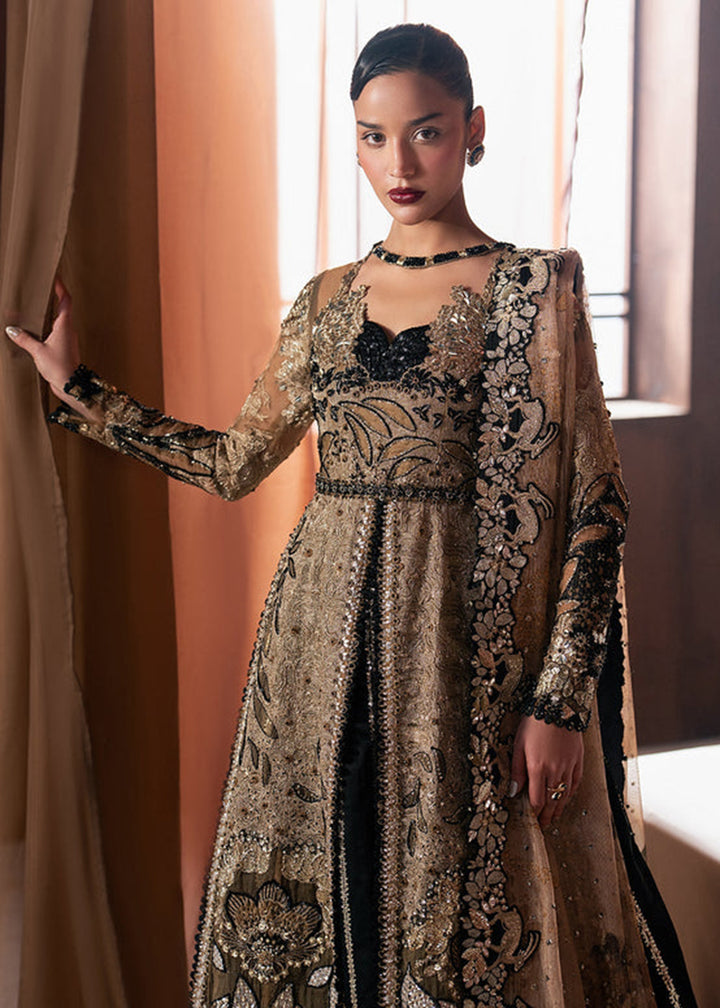 Hayat Wedding Formals ‘25 by Afrozeh | RAYYAN