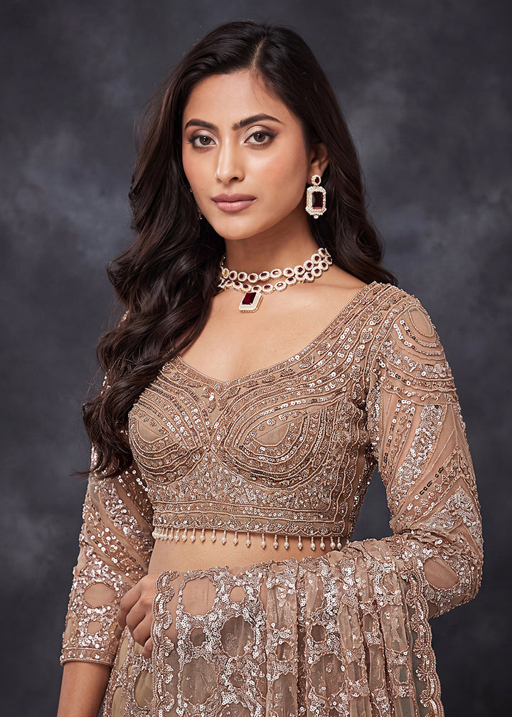 Buy Now Champagne Beige Net Saree with Cutwork &amp; Sequin Embroidery Online in US, UK, Canada, France, Germany, Denmark, Sweden, Austria &amp; Worldwide at Empress.