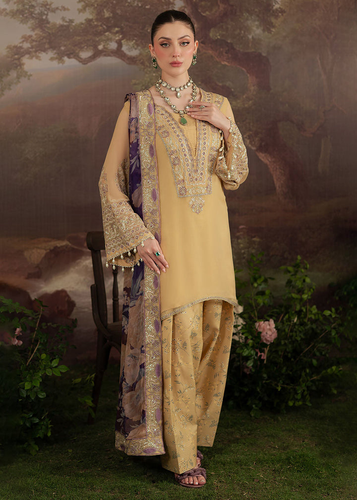 Buy Now Amaya Luxury Chiffon '25 by Nureh | AM-14 Online in USA, UK, Canada, France, Italy, Germany, New Zealand, Australia, UAE & Worldwide at Empress Clothing