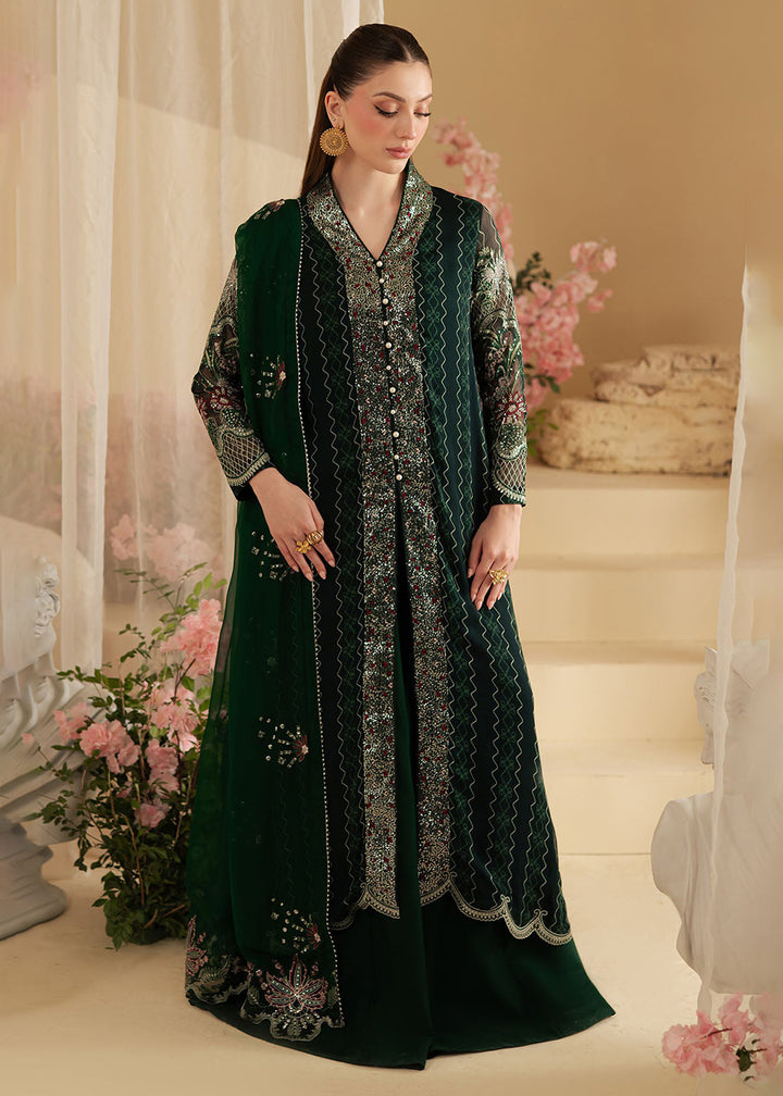 Buy Now Amaya Luxury Chiffon '25 by Nureh | AM-16 Online in USA, UK, Canada, France, Italy, Germany, New Zealand, Australia, UAE & Worldwide at Empress Clothing