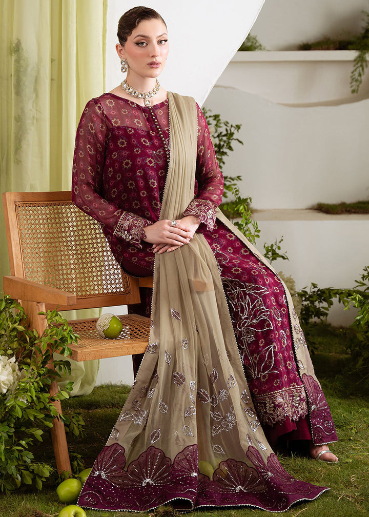 Buy Now Amaya Luxury Chiffon '25 by Nureh | AM-20 Online in USA, UK, Canada, France, Italy, Germany, Singapore, Australia, UAE & Worldwide at Empress Clothing