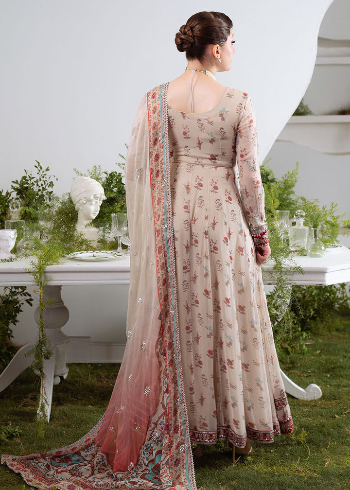 Buy Now Amaya Luxury Chiffon '25 by Nureh | AM-21 Online in USA, UK, Canada, France, Italy, Germany, Singapore, Australia, UAE & Worldwide at Empress Clothing