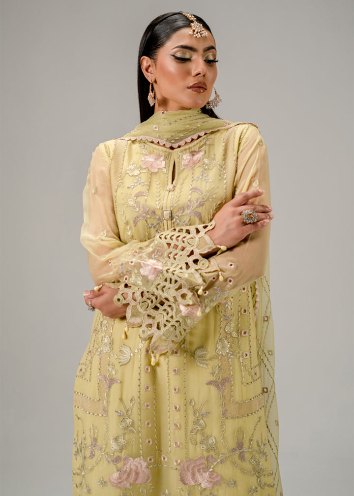 Buy Now Aura Luxury Chiffon '25 by Zebtan | AR-03 Online in USA, UK, Canada, France, Italy, Germany, New Zealand, Australia, UAE & Worldwide at Empress.