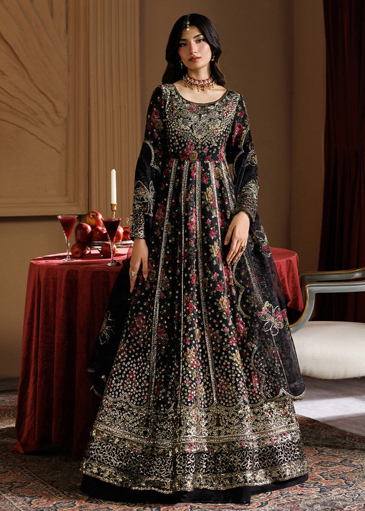 Buy Now Celeste Festive Edit &