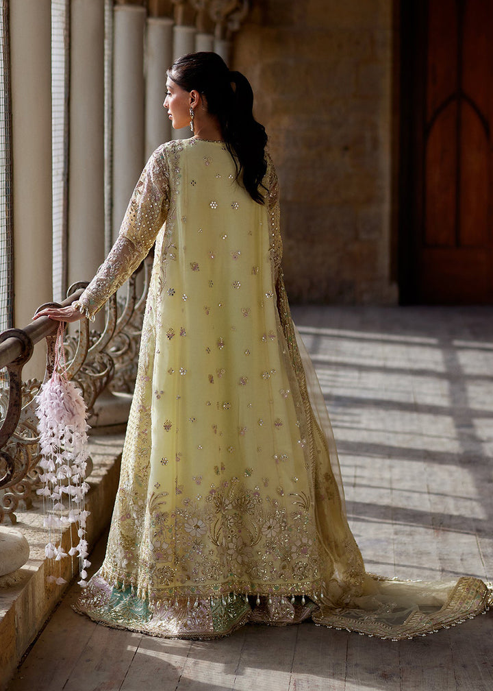 Buy Now Dastangoi Wedding Formals &