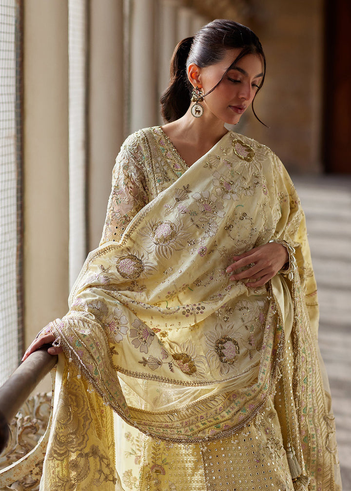 Buy Now Dastangoi Wedding Formals &