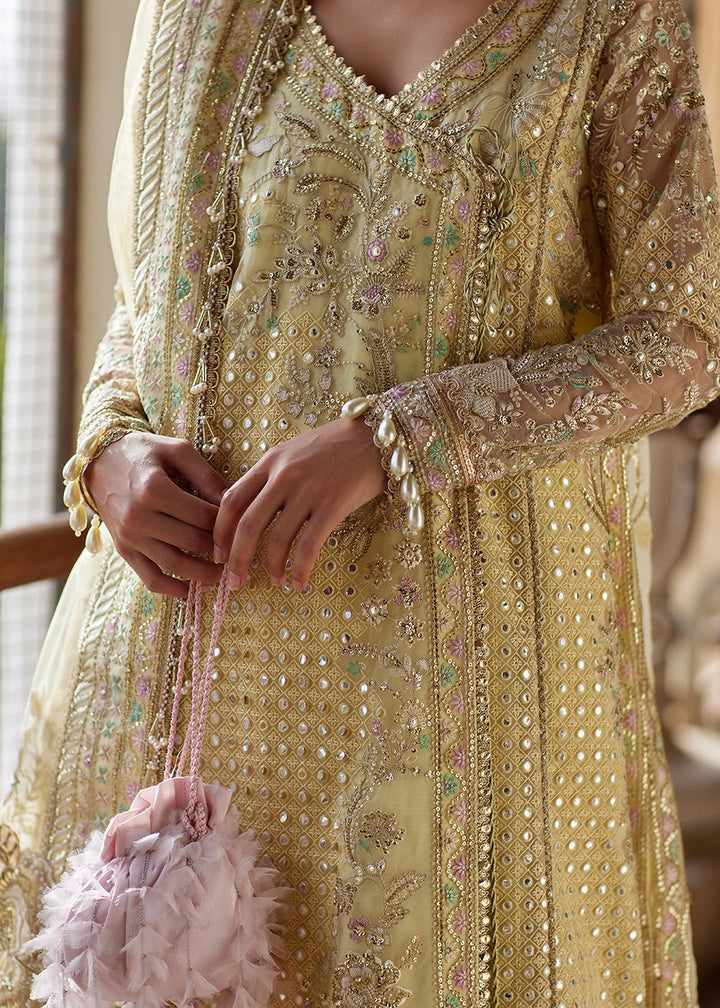 Buy Now Dastangoi Wedding Formals &