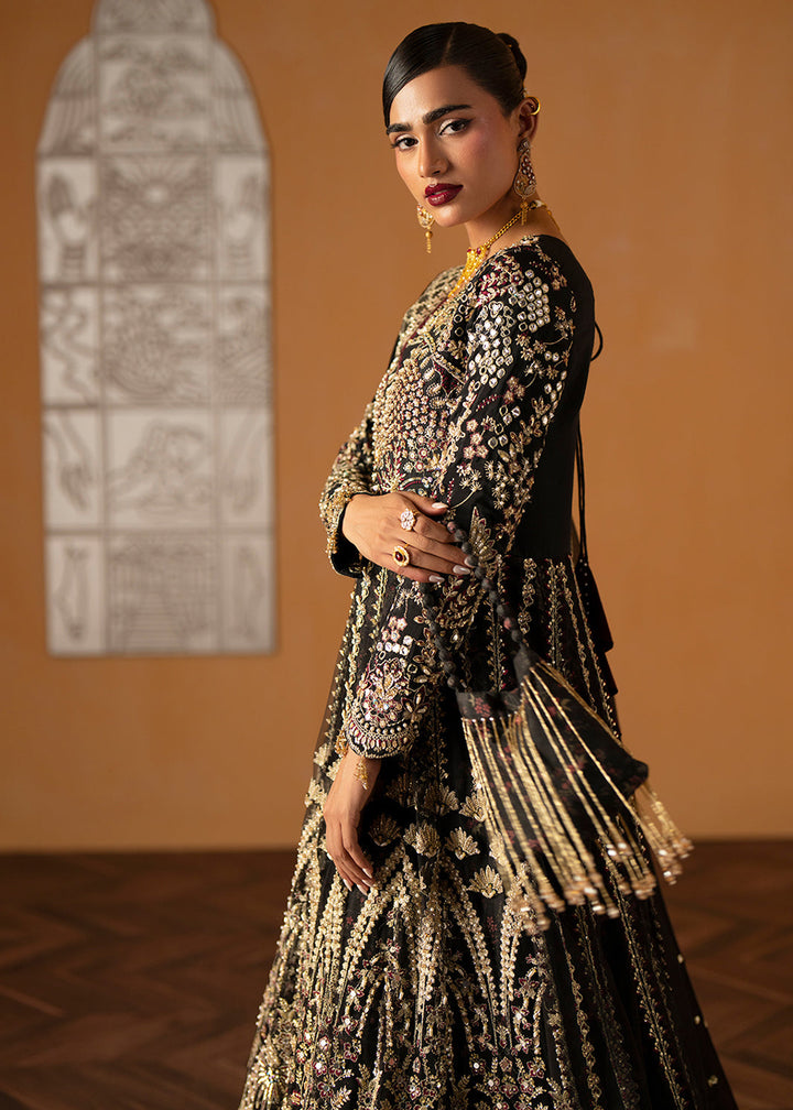 Buy Now Signature Wedding Formals &