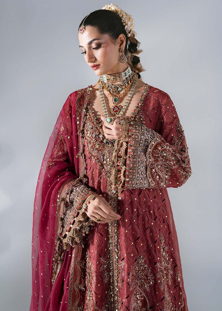 Buy Now Mbroidered Wedding Edition &