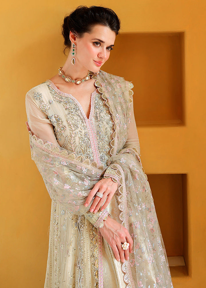 Buy Now Bachelorette Chronicles Chiffons ‘26 by Mushq | BLUSH HOUR Online in US, UK, Canada, France, Greece, Germany, Sweden, Australia &amp; Worldwide at Empress.