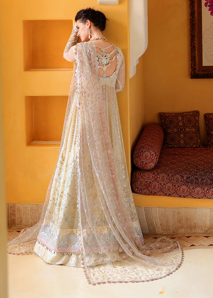 Buy Now Bachelorette Chronicles Chiffons ‘26 by Mushq | BLUSH HOUR Online in US, UK, Canada, France, Greece, Germany, Sweden, Australia &amp; Worldwide at Empress.