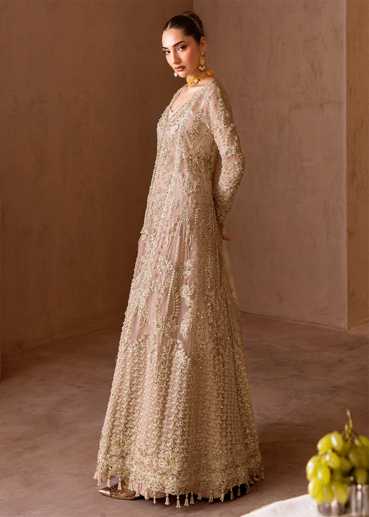 Buy Now Clay & Couture Wedding Formals '25 by Emaan Adeel Online in USA, UK, Canada, France, Italy, Germany, Greece, Sweden, Africa, UAE & Worldwide at Empress.