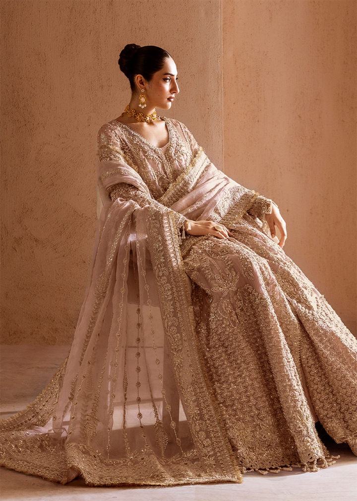 Buy Now Clay & Couture Wedding Formals '25 by Emaan Adeel Online in USA, UK, Canada, France, Italy, Germany, Greece, Sweden, Africa, UAE & Worldwide at Empress.