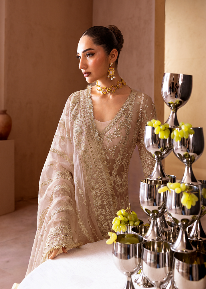 Buy Now Clay & Couture Wedding Formals '25 by Emaan Adeel Online in USA, UK, Canada, France, Italy, Germany, Greece, Sweden, Africa, UAE & Worldwide at Empress.