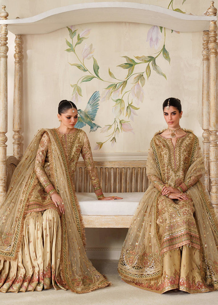 Buy Now Chantelle Luxury Formals '25 by Baroque | CH14-02 Online in USA, UK, Canada, Germany, Italy, Austria, France, Denmark, Austria & Worldwide at Empress.