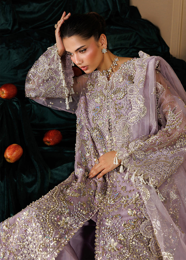 Buy Now Celeste Festive Edit &