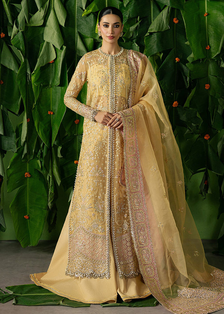 Buy Now Pehli Nazar Festive Formals '25 by Ayzel | Chahat Online in USA, UK, Canada, France, Italy, Germany, Sweden, Greece, Spain, UAE & Worldwide at Empress.