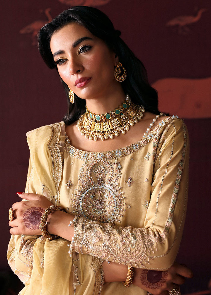 Buy Now Devdas Exquisite Formal Wear '24 By Emaan Adeel | Meera Online at Empress Online in USA, UK, Canada & Worldwide at Empress Clothing.