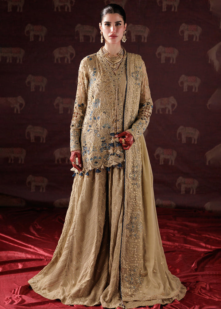 Buy Now Panache Luxury Chiffon '25 by Saad Shaikh | D-05 Online in US, UK, Canada, France, Italy, Germany, Sweden, Greece, Ireland, UAE & Worldwide at Empress.