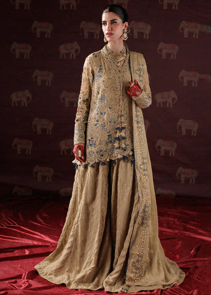 Buy Now Panache Luxury Chiffon '25 by Saad Shaikh | D-05 Online in US, UK, Canada, France, Italy, Germany, Sweden, Greece, Ireland, UAE & Worldwide at Empress.