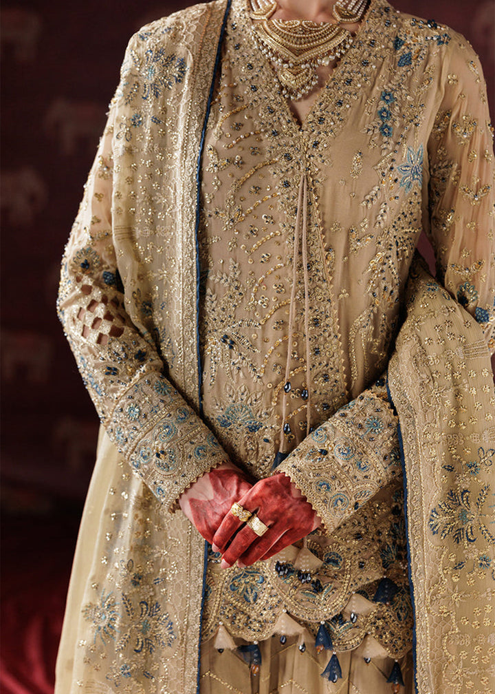 Buy Now Panache Luxury Chiffon '25 by Saad Shaikh | D-05 Online in US, UK, Canada, France, Italy, Germany, Sweden, Greece, Ireland, UAE & Worldwide at Empress.