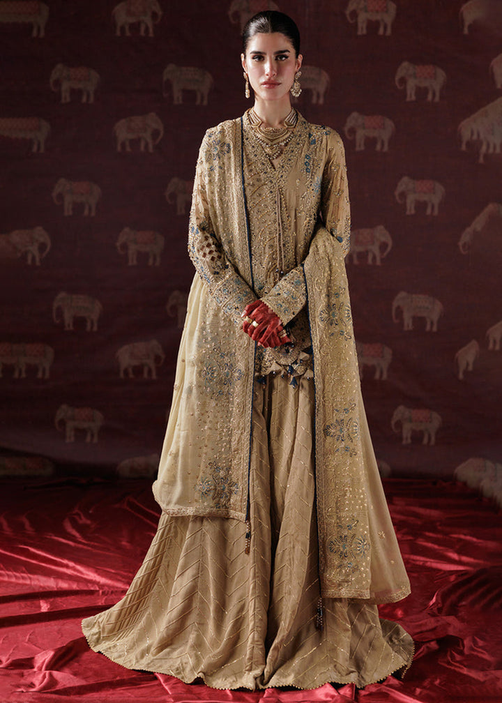 Buy Now Panache Luxury Chiffon '25 by Saad Shaikh | D-05 Online in US, UK, Canada, France, Italy, Germany, Sweden, Greece, Ireland, UAE & Worldwide at Empress.