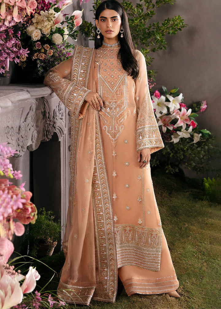 Buy Now Peach Pakistani Palazzo Suit - Afrozeh La Fuchsia Formals '23 - Sunset Blush Mist Online in USA, UK, Canada & Worldwide at Empress Clothing.