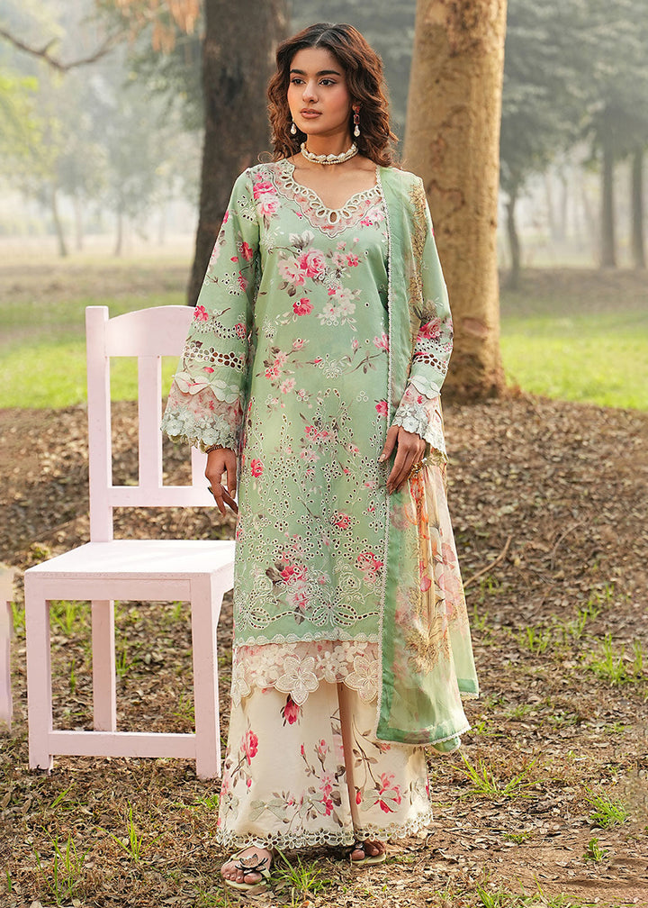 Buy Now Dhanak Embroidered Lawn &