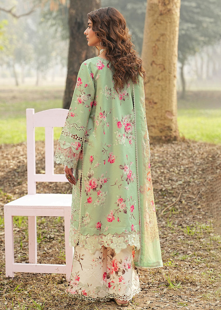 Buy Now Dhanak Embroidered Lawn &