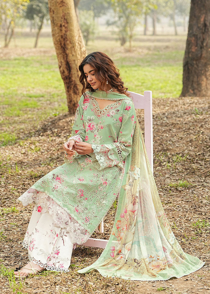 Buy Now Dhanak Embroidered Lawn &