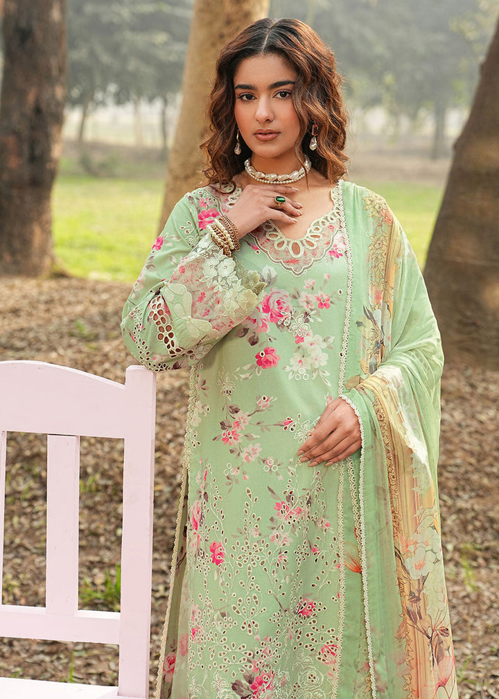 Buy Now Dhanak Embroidered Lawn &