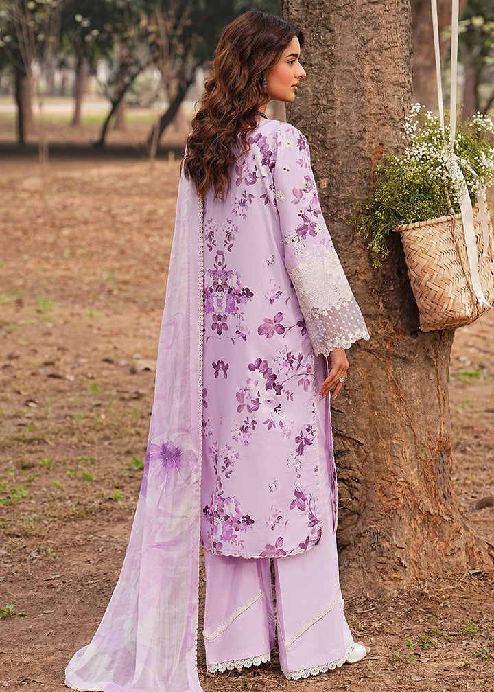 Buy Now Dhanak Embroidered Lawn &
