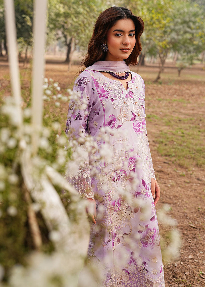 Buy Now Dhanak Embroidered Lawn &