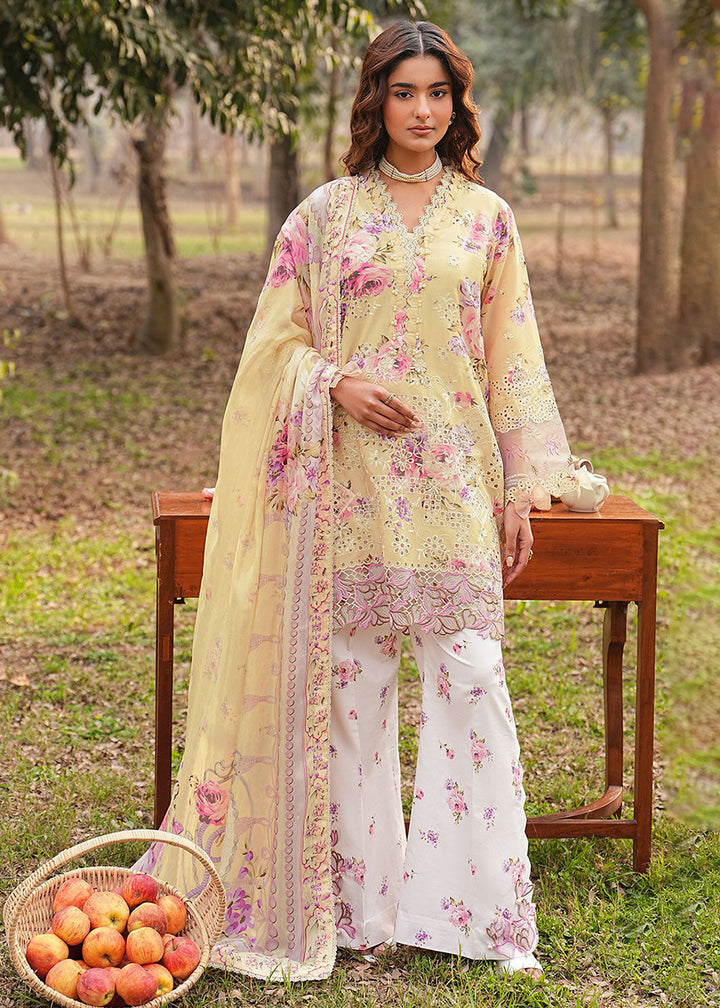 Buy Now Dhanak Embroidered Lawn &