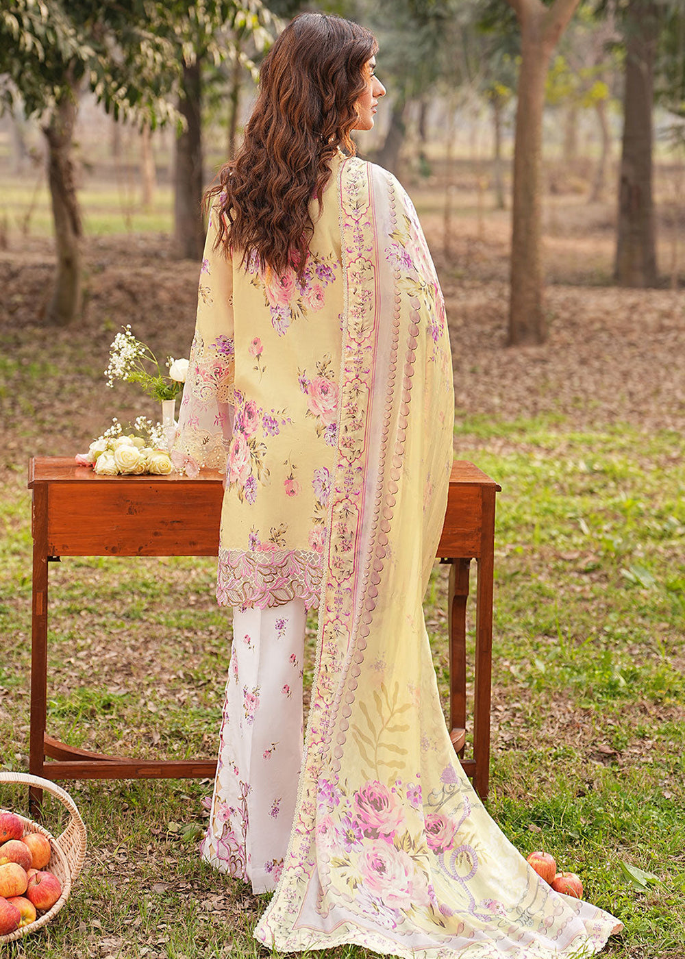 Buy Now Dhanak Embroidered Lawn &